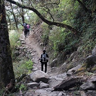 Shivapuri-hike-short-trek