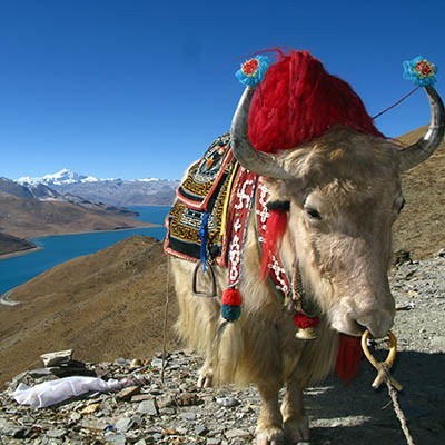 Tibet Tour