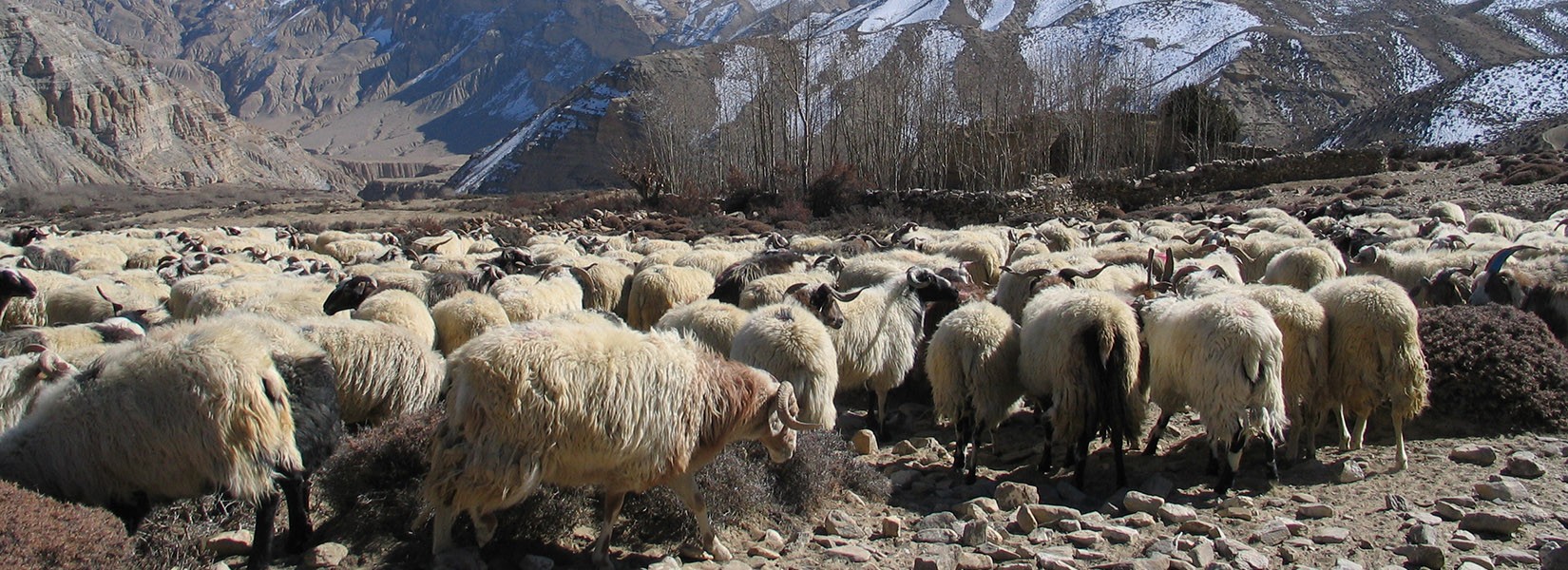 Upper Mustang Trek