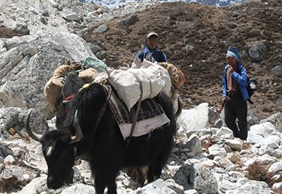 Everest Three High Pass Trek